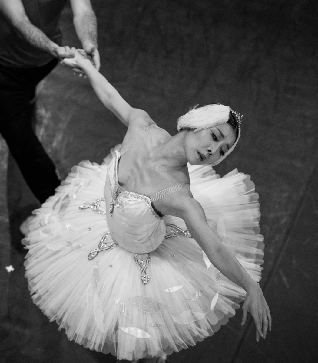 CISNE-BLANCO-DESTACADA