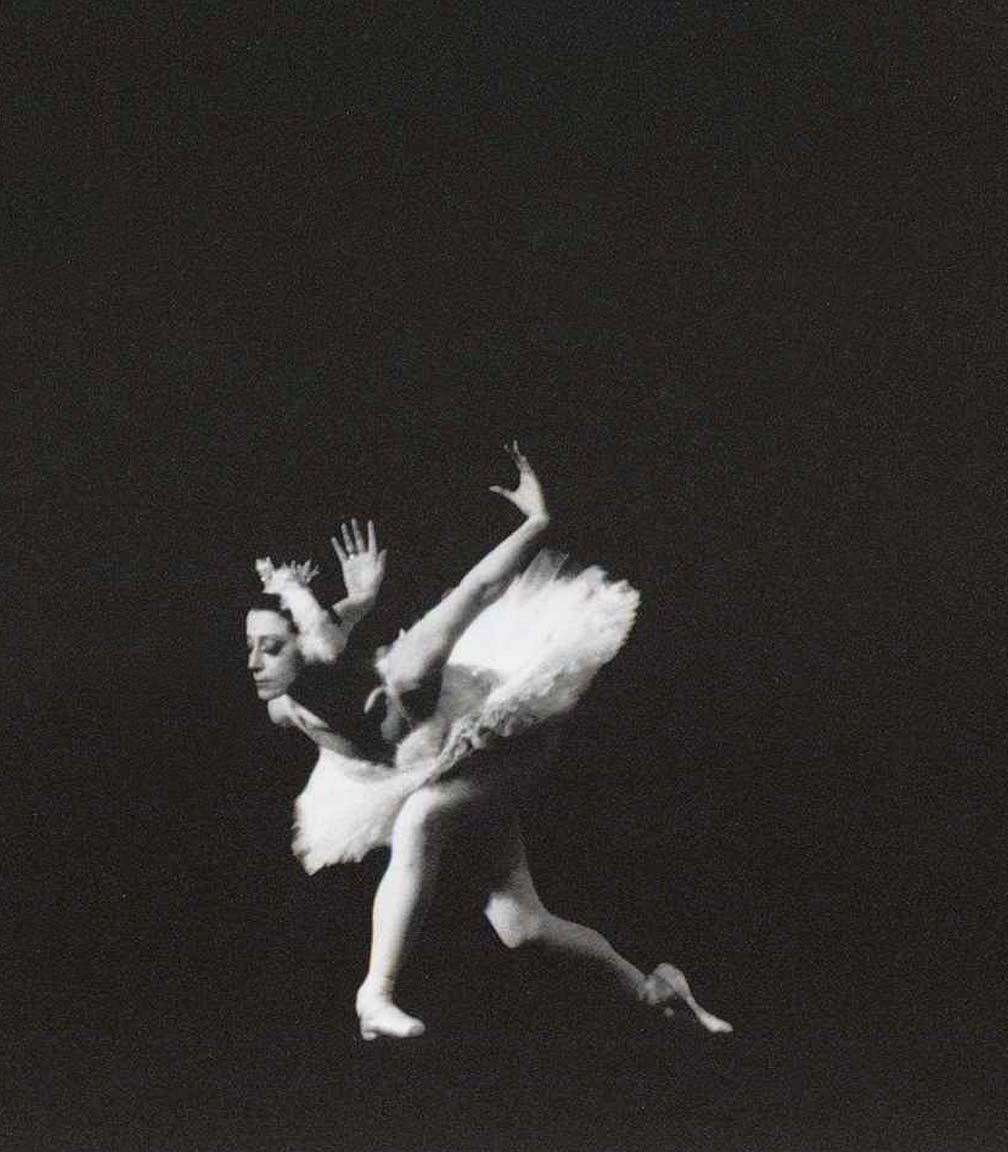 La-muerte-del-cisne-destacada