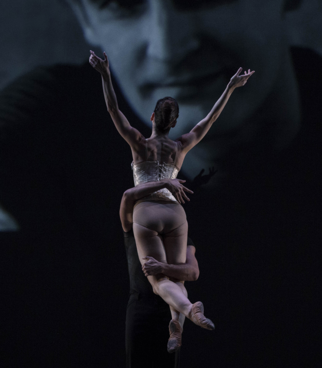 POLVO-ERES-DESTACADA