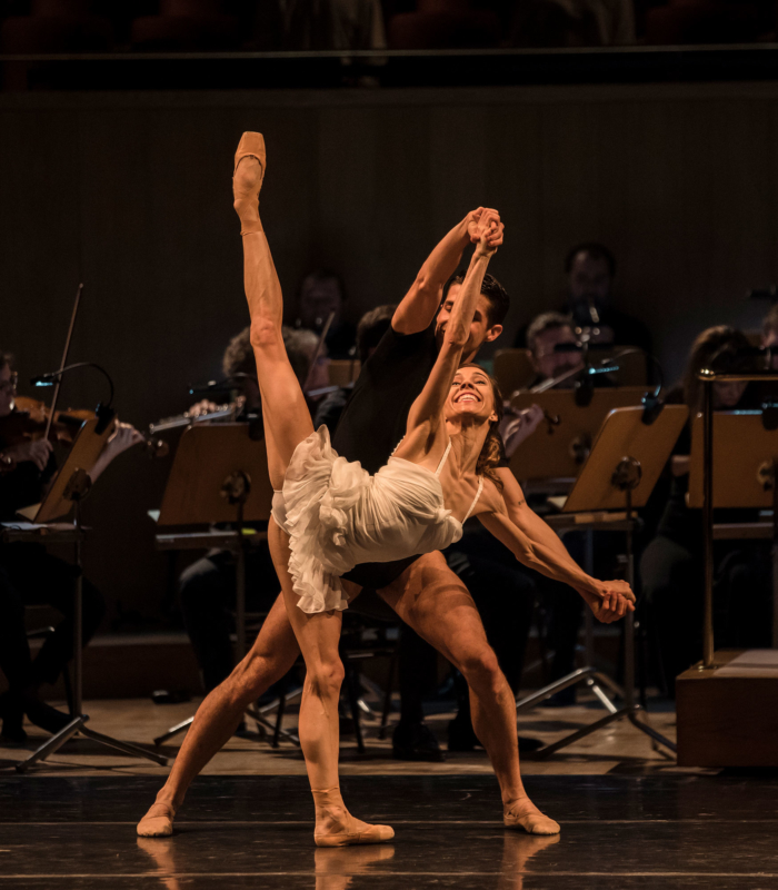 PULCINELLA-DESTACADA