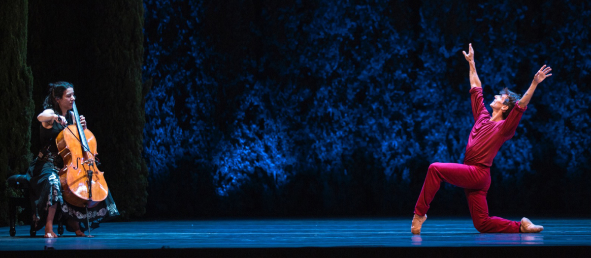 suite-dancers-portada-2