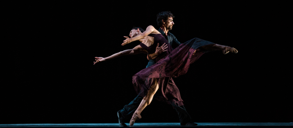 white-darkness-portada-2