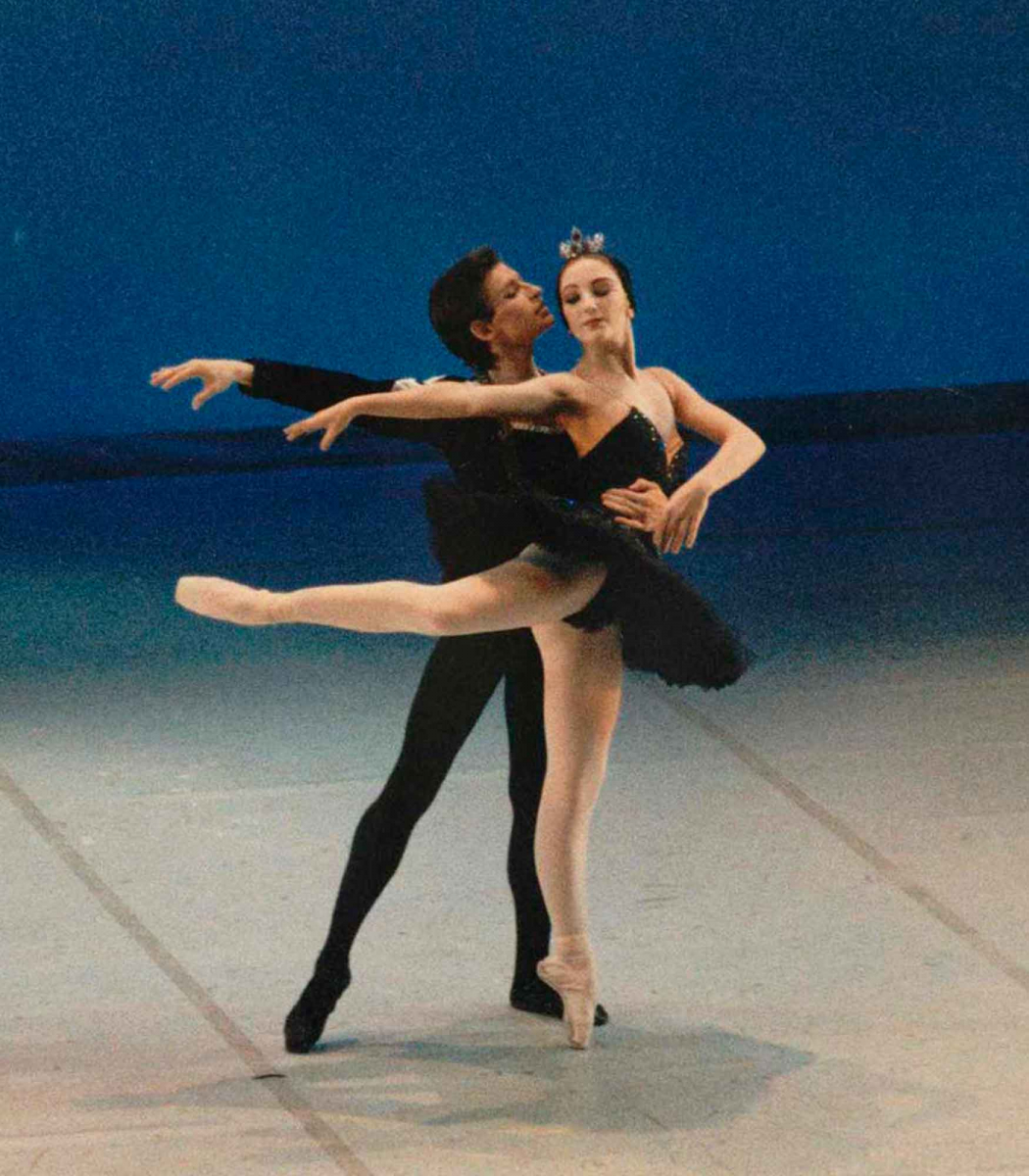 Cisne-negro-Destacada