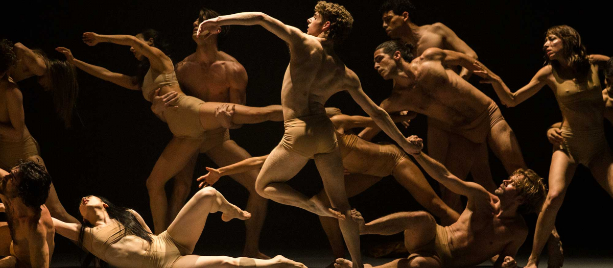 IN-PARADISUM-PORTADA