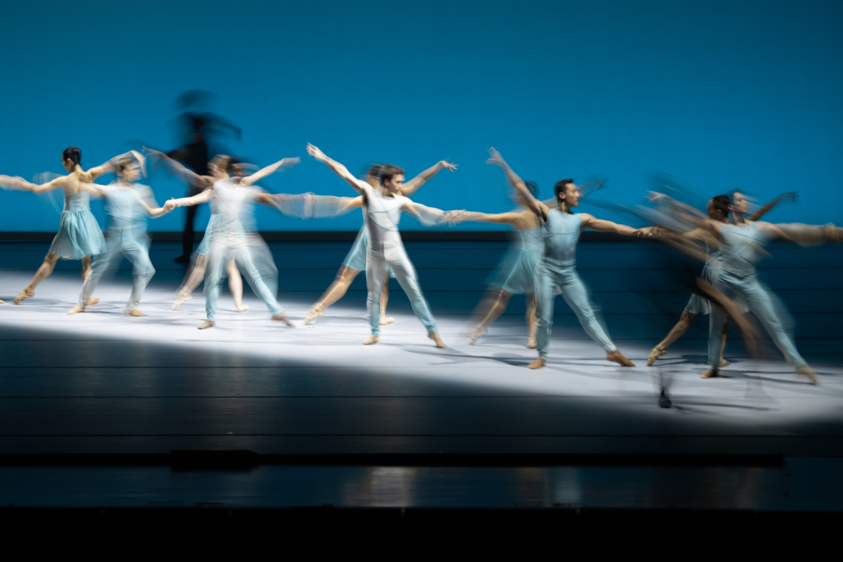 DSC_2218-NEF_DxO_DeepPRIME