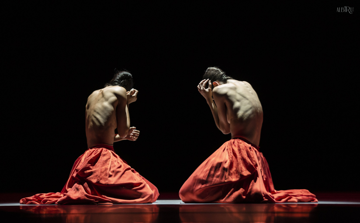 52393813792_2efe696ca5_k