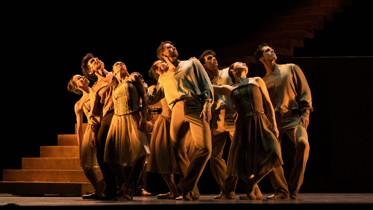 53026804314_8b3c4c8ebf_o