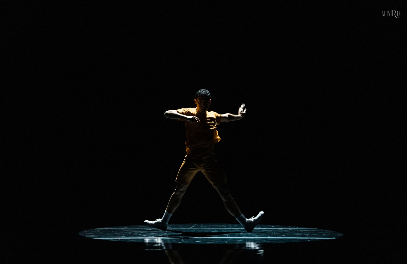 53321142252_c0d44a9cf7_o