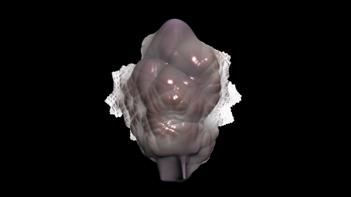 Screenshot 2024-10-10 141529