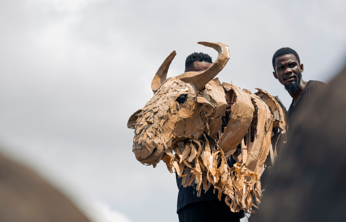 1. Kinshasa – Congo Basin