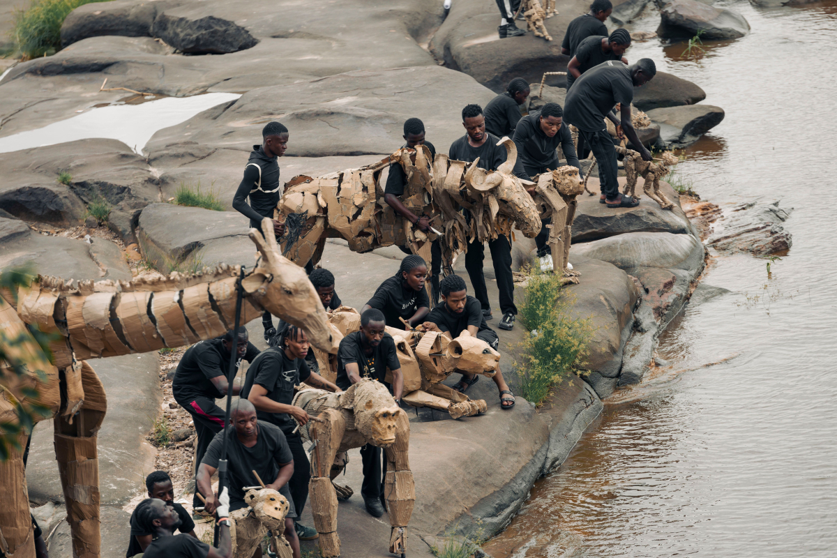 5. Kinshasa – Congo Basin