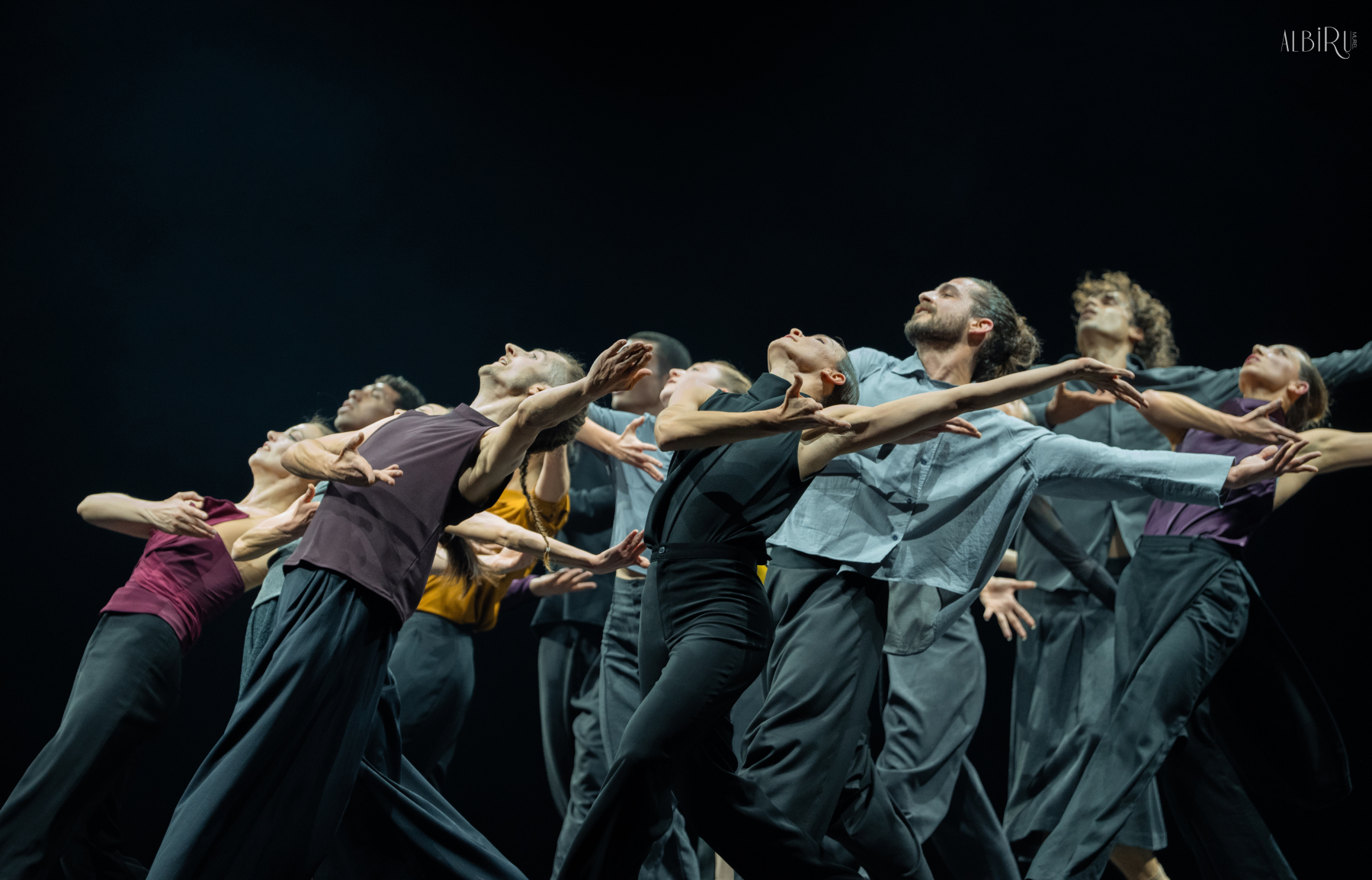 cnd—become_55147570480_o